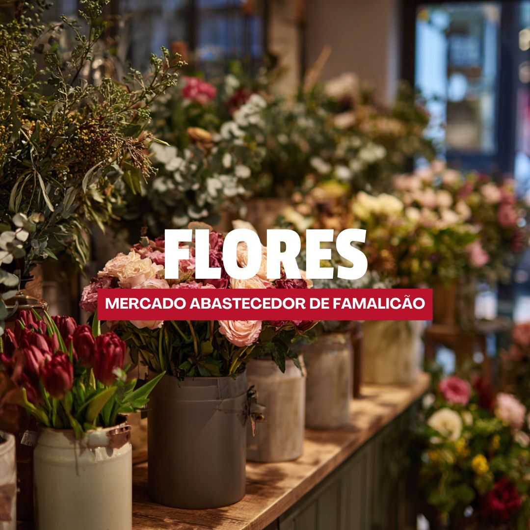 WhatsApp Image 2025 12 08 at 21.41.40_741de70b