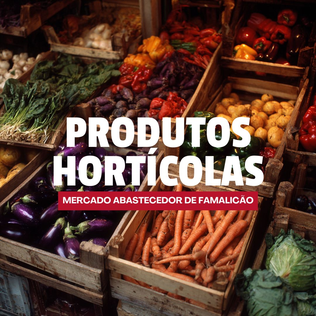 WhatsApp Image 2025 12 08 at 21.41.43_47fb1b8b